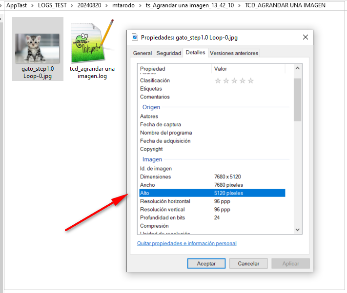 Agrandar una imagen5.PNG