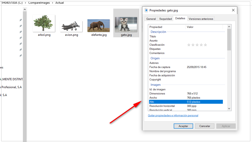Agrandar una imagen6.PNG