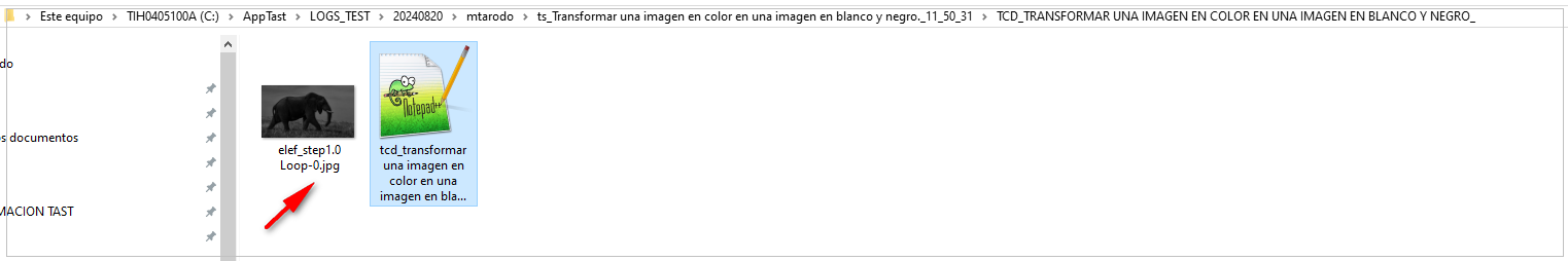 Transformar una imagen en color en blanco y negro6.PNG